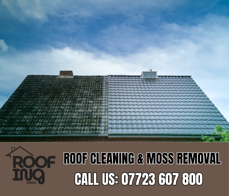 Roof cleaning and moss removal in Kingsteignton